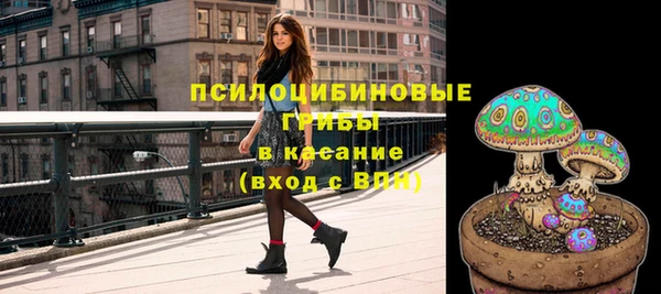 стаф Заволжск