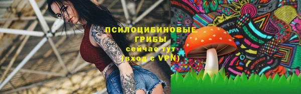 стаф Заволжск