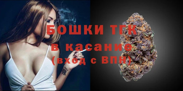 мет Елизово