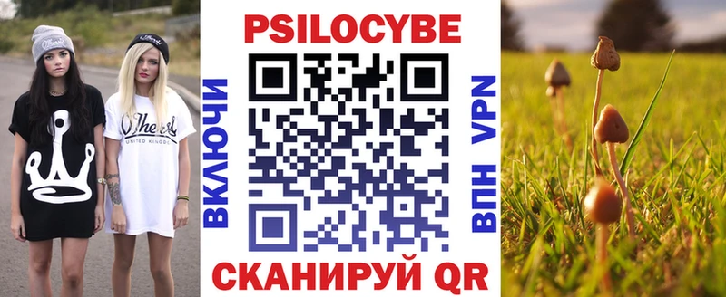 Псилоцибиновые грибы GOLDEN TEACHER  KRAKEN зеркало  Назрань 